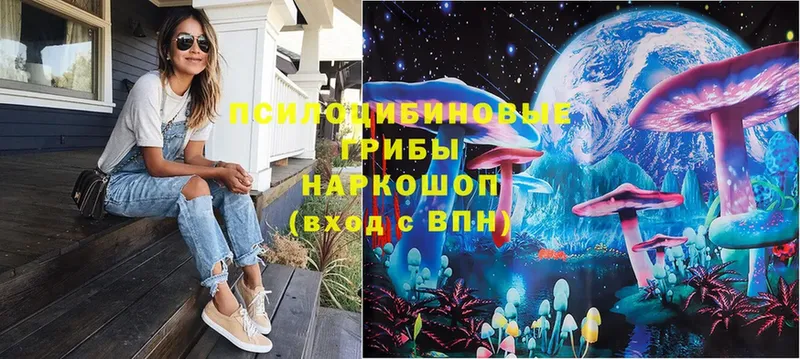 Псилоцибиновые грибы Magic Shrooms  KRAKEN ССЫЛКА  Далматово  как найти закладки 